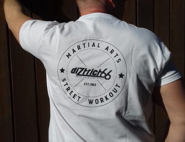 camiseta artes marciales blanco detras